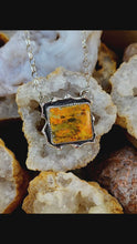 Load and play video in Gallery viewer, Bumblebee Jasper Pendant
