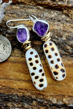 Load image into Gallery viewer, &quot;For the Love of Animal Print&quot; Shell Earrings
